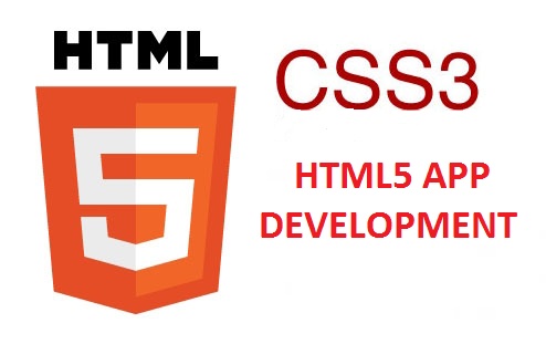 How Does HTML5 App Development Develop An Interactive Website?
